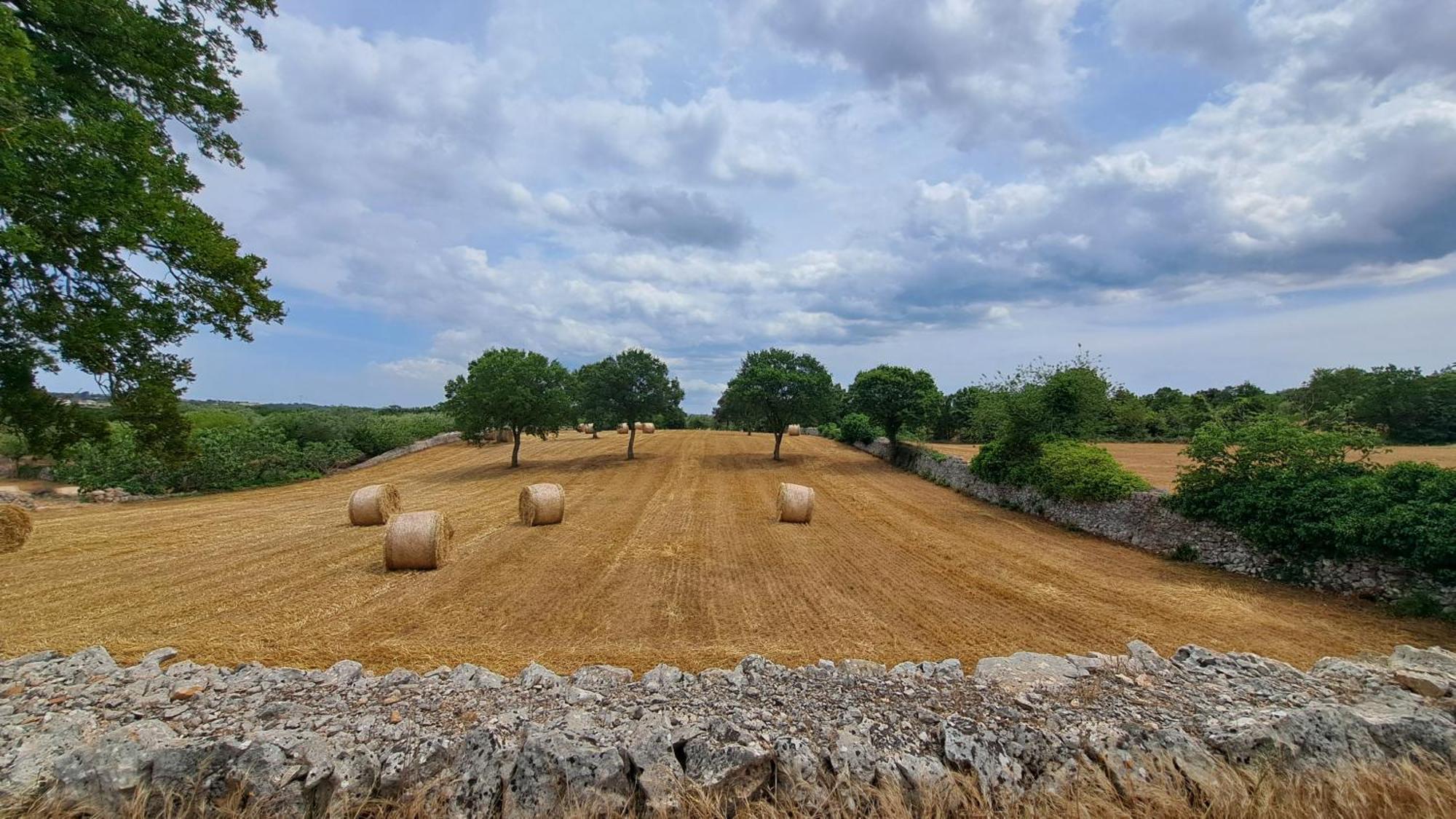 Vila Casolare Di Puglia Noci Exteriér fotografie