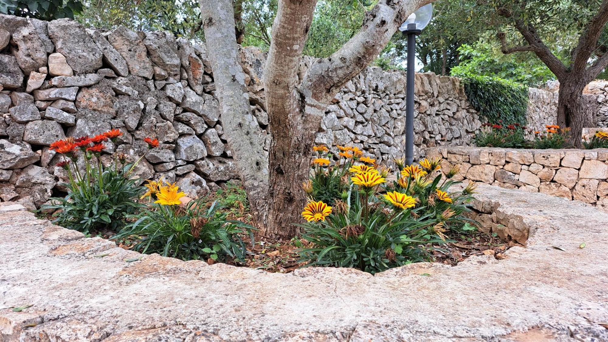 Vila Casolare Di Puglia Noci Exteriér fotografie
